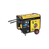 4000 Watt 230 Voltage Essential Electric Start Diesel Generator