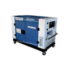 11000 Watt Electric Start Roller Diesel Generator