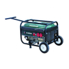2800 Watt Small Gasoline Generator Sell Well in The European Market